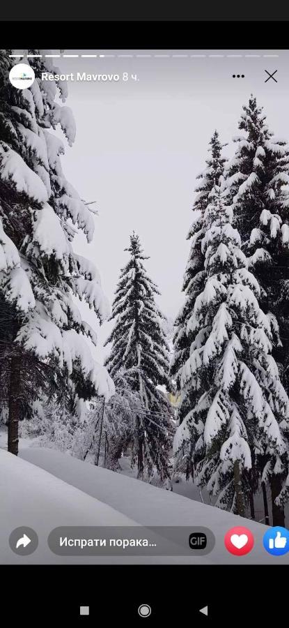 Mavrovo Forest Apartments Exteriér fotografie