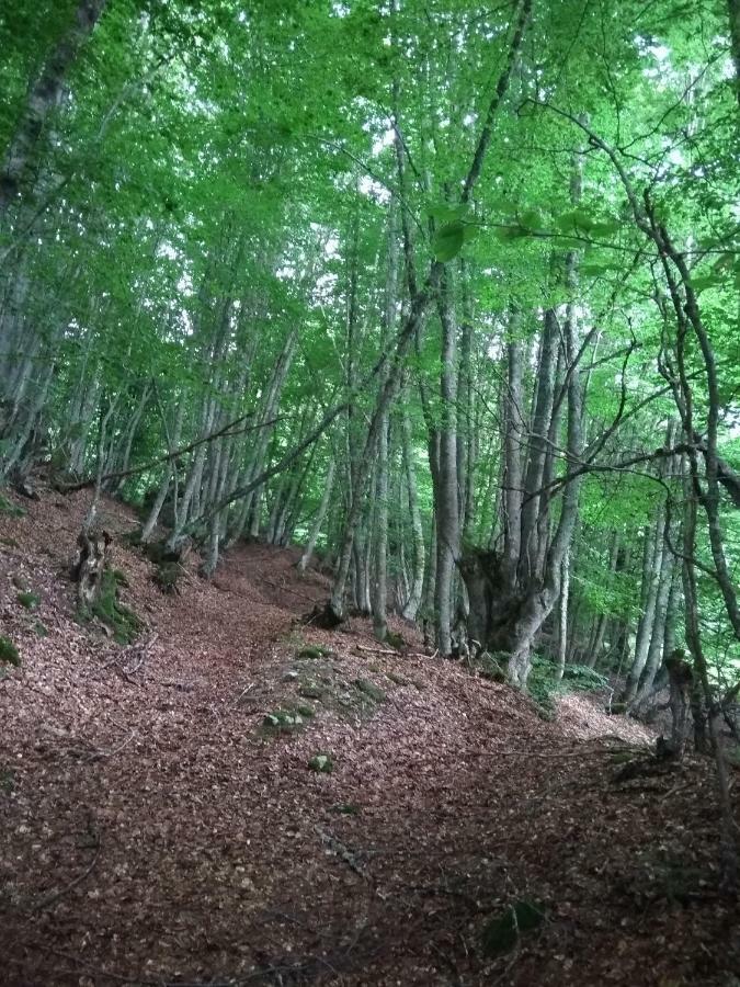 Mavrovo Forest Apartments Exteriér fotografie